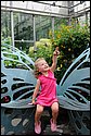 DSC_7410.jpg