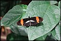 DSC_7461.jpg