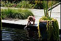 DSC_7503.jpg