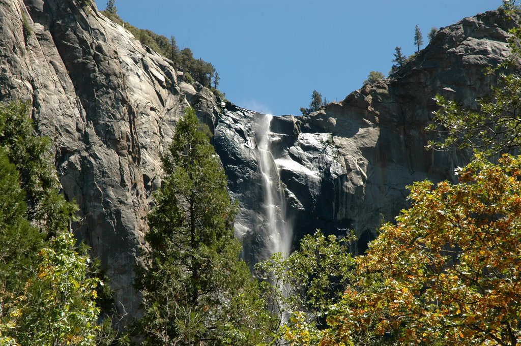 DSC_0909.JPG