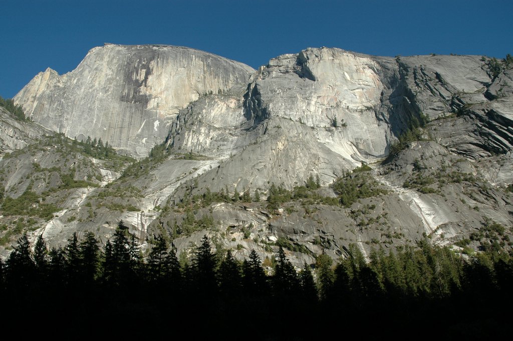 DSC_0953.JPG