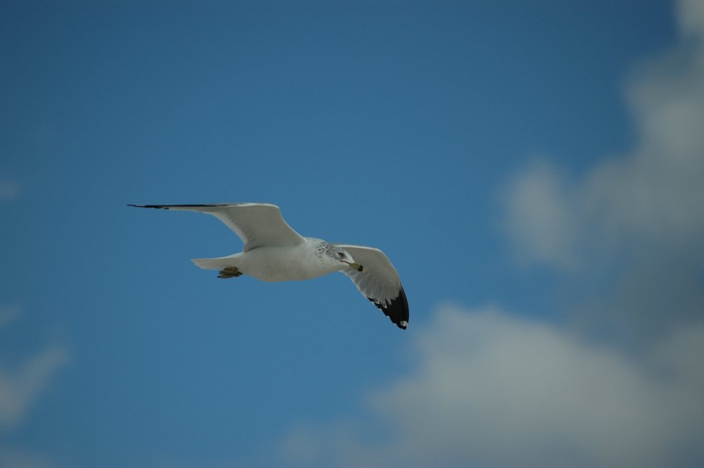 DSC_2064.JPG