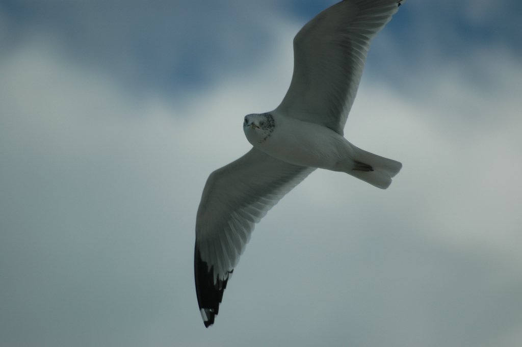 DSC_2069.JPG