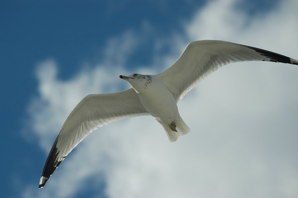 DSC_2079.JPG