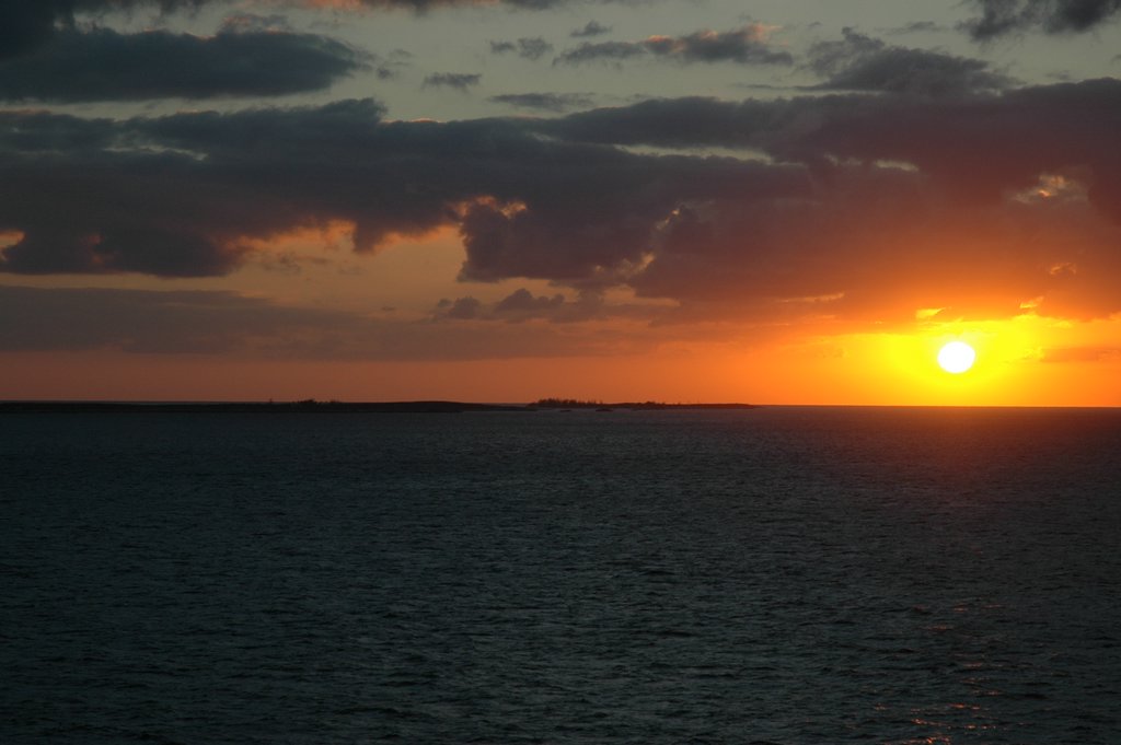 DSC_2121.JPG