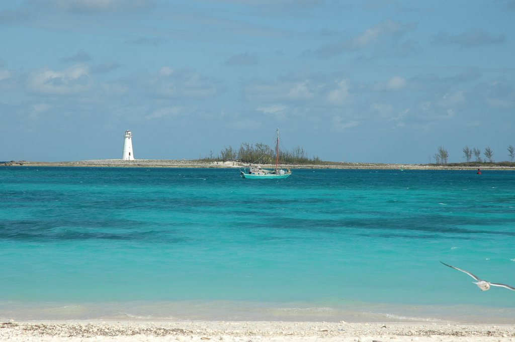 DSC_2195.JPG