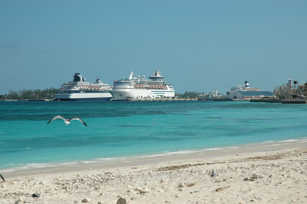 DSC_2196.JPG