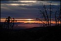 DSC_0802.JPG