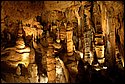 DSC_1455.JPG