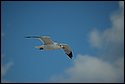 DSC_2064.JPG