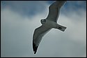 DSC_2069.JPG