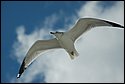 DSC_2079.JPG