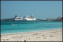 DSC_2196.JPG