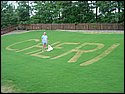 DSC00201
