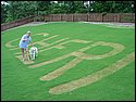 DSC00202