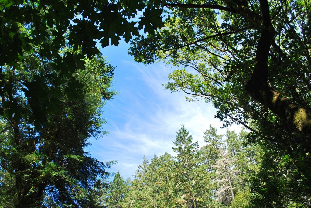 DSC_0463_ftp.jpg