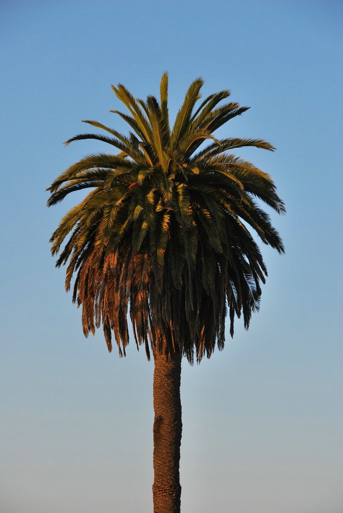 DSC_0955_ftp.jpg