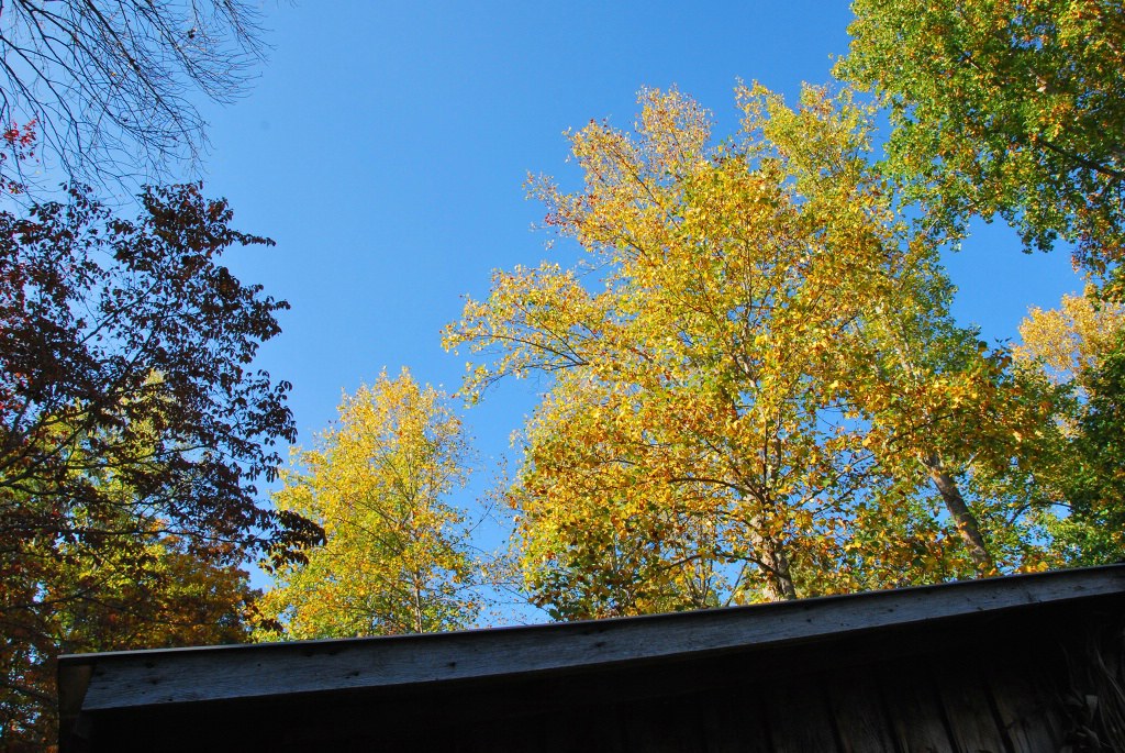 DSC_1761_ftp.jpg