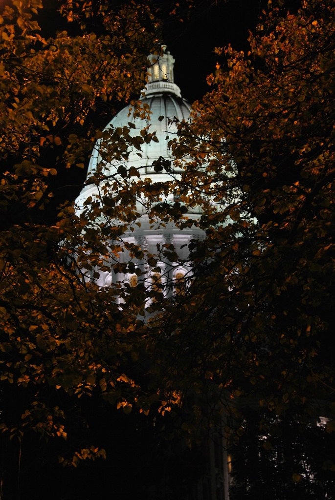 DSC_1817_ftp.jpg