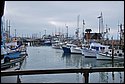 DSC_0234_ftp.jpg
