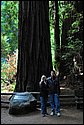DSC_0372_ftp.jpg