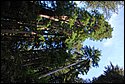 DSC_0383_ftp.jpg