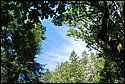 DSC_0463_ftp.jpg