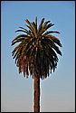 DSC_0955_ftp.jpg
