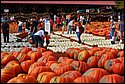 DSC_1526_ftp.jpg