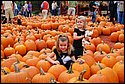 DSC_1601_ftp.jpg