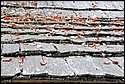 DSC_1694_ftp.jpg