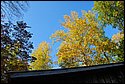 DSC_1761_ftp.jpg