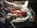 Brooke New Born 005