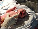 Brooke New Born 006