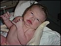 Brooke New Born 009