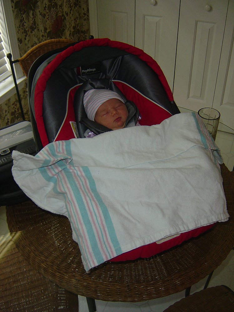 DSC03088-fixed.JPG