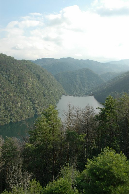 DSC_1153.JPG