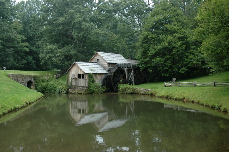 DSC_1190.JPG
