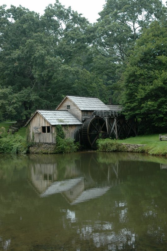 DSC_1191.JPG