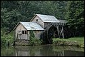 DSC_1189.JPG