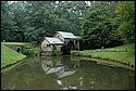 DSC_1190.JPG