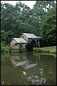 DSC_1191.JPG