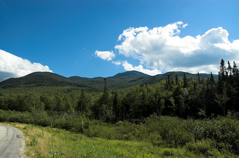 DSC_6044.jpg