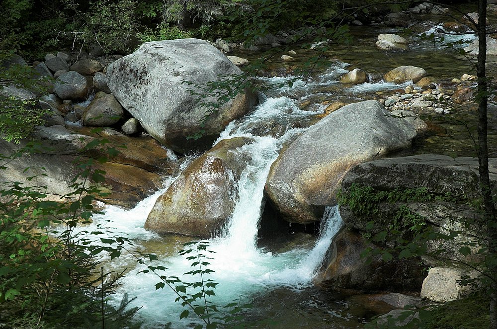 DSC_6052.jpg
