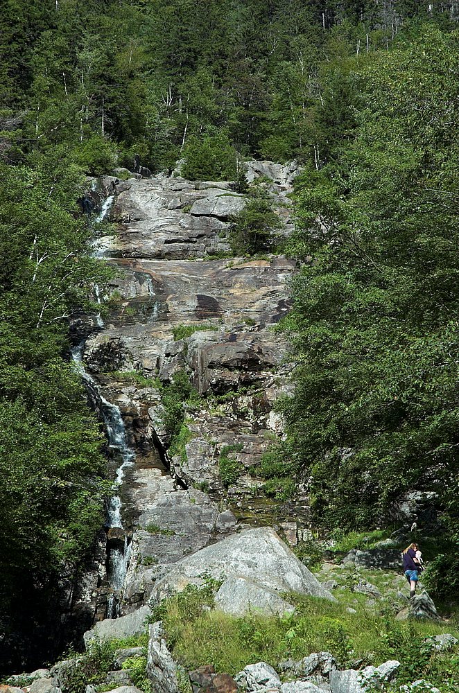 DSC_6068.jpg