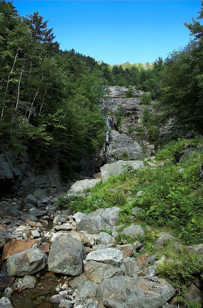 DSC_6069.jpg