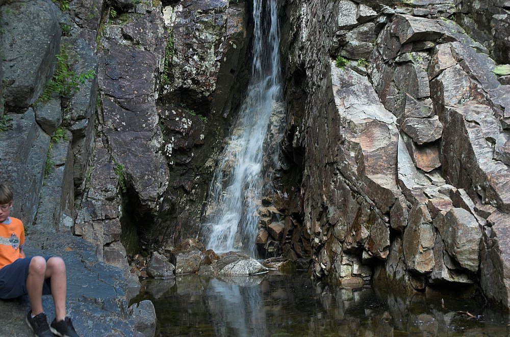 DSC_6084.jpg