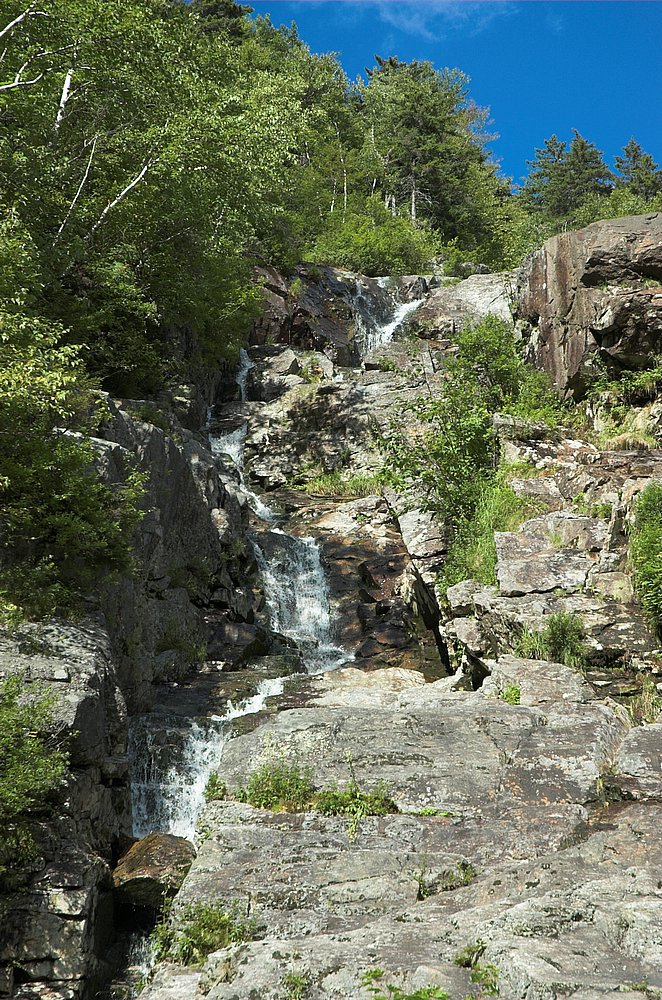 DSC_6095.jpg