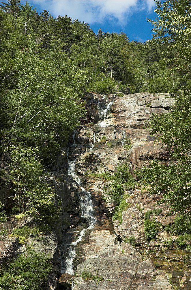 DSC_6102.jpg