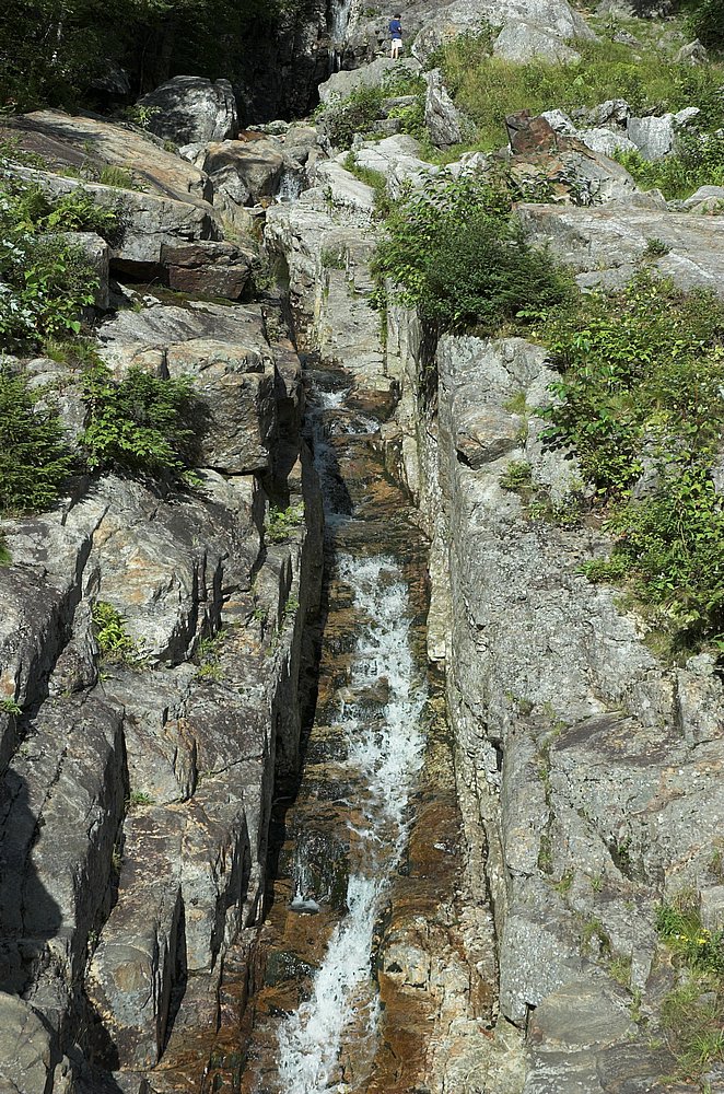 DSC_6103.jpg